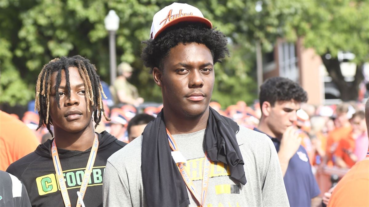 的潜在引援 的潜在引援